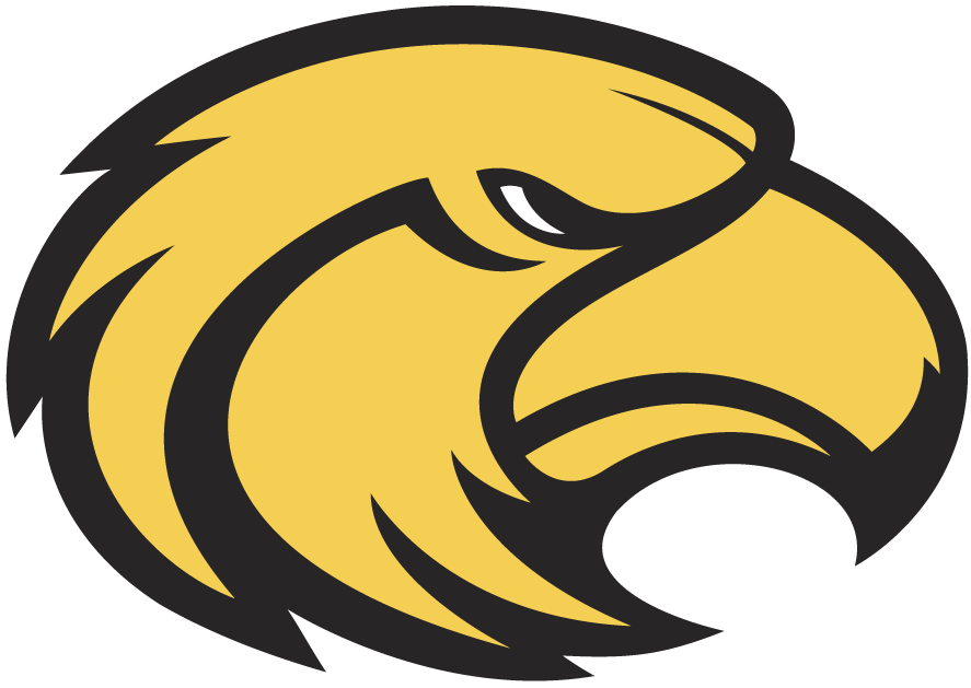 Southern Miss Golden Eagles 2003-2014 Secondary Logo iron on heat transfer